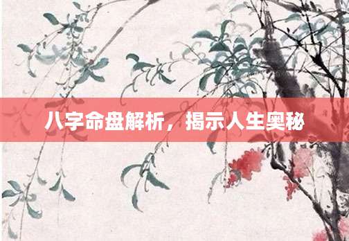 八字命盘解析，揭示人生奥秘