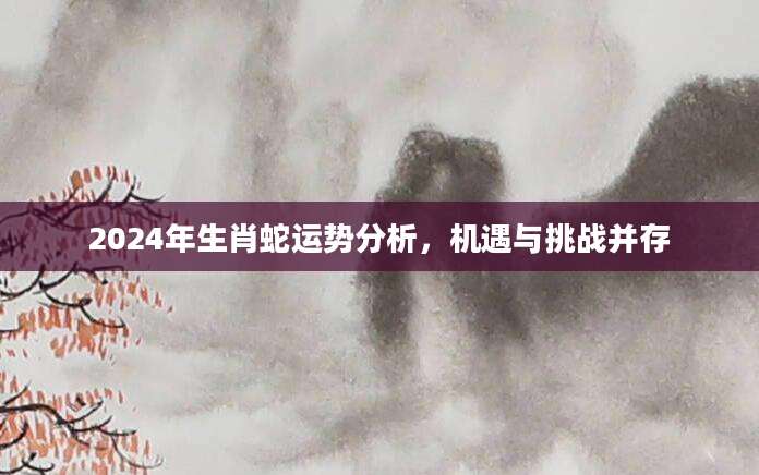 2024年生肖蛇运势分析，机遇与挑战并存