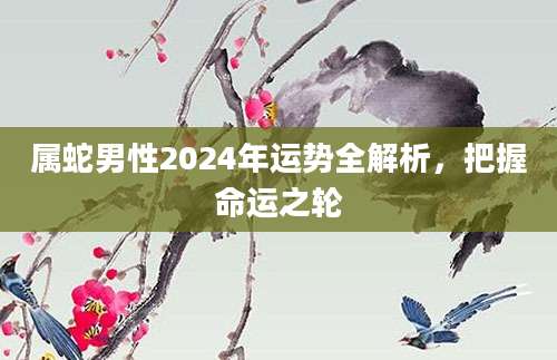 属蛇男性2024年运势全解析，把握命运之轮