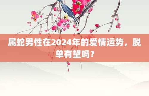 属蛇男性在2024年的爱情运势，脱单有望吗？