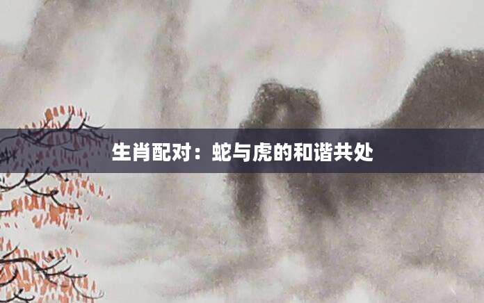 生肖配对：蛇与虎的和谐共处
