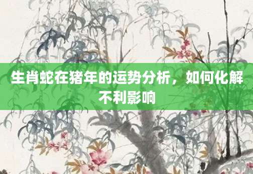生肖蛇在猪年的运势分析，如何化解不利影响
