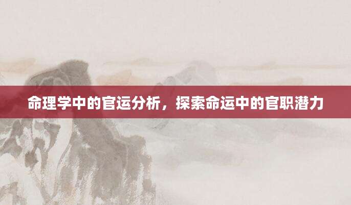 命理学中的官运分析，探索命运中的官职潜力