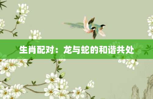 生肖配对：龙与蛇的和谐共处