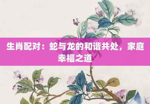 生肖配对：蛇与龙的和谐共处，家庭幸福之道