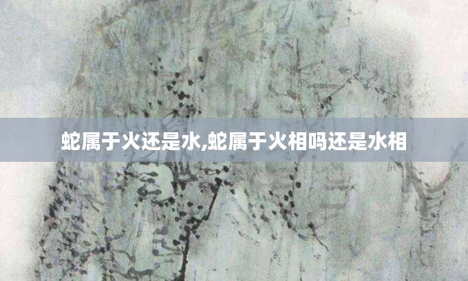 蛇属于火还是水,蛇属于火相吗还是水相