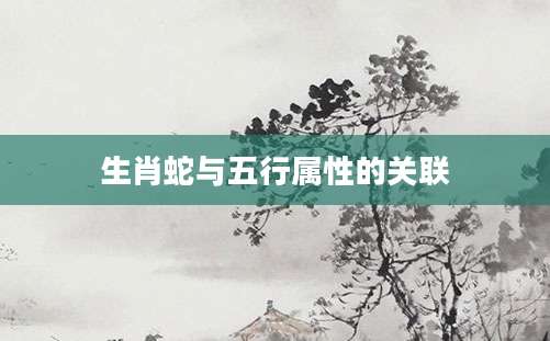 生肖蛇与五行属性的关联