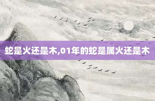 蛇是火还是木,01年的蛇是属火还是木