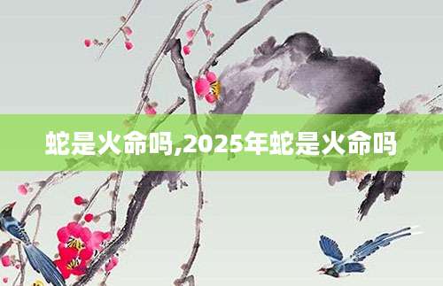 蛇是火命吗,2025年蛇是火命吗