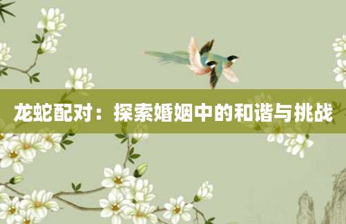 龙蛇配对：探索婚姻中的和谐与挑战