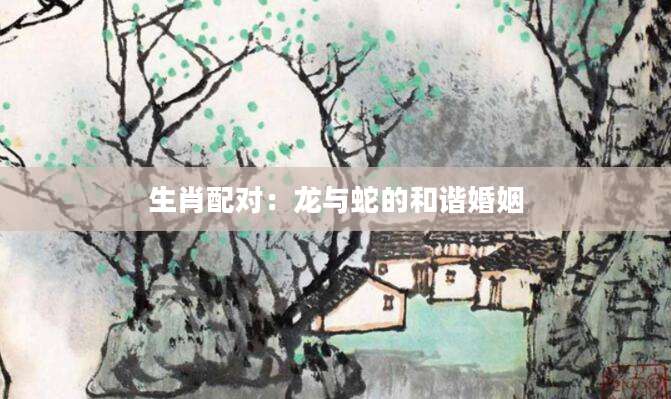 生肖配对：龙与蛇的和谐婚姻