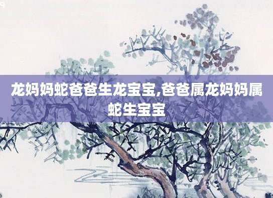 龙妈妈蛇爸爸生龙宝宝,爸爸属龙妈妈属蛇生宝宝