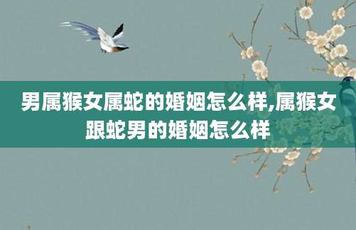 男属猴女属蛇的婚姻怎么样,属猴女跟蛇男的婚姻怎么样