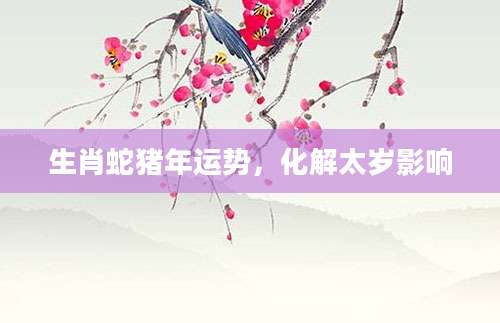 生肖蛇猪年运势，化解太岁影响