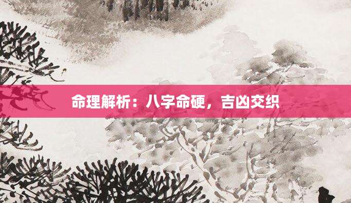 命理解析：八字命硬，吉凶交织