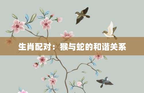 生肖配对：猴与蛇的和谐关系