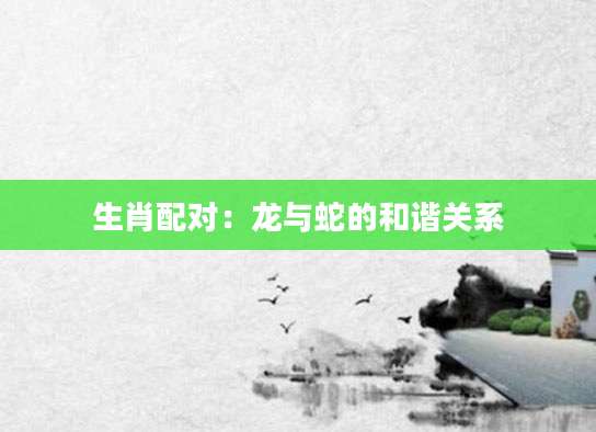 生肖配对：龙与蛇的和谐关系