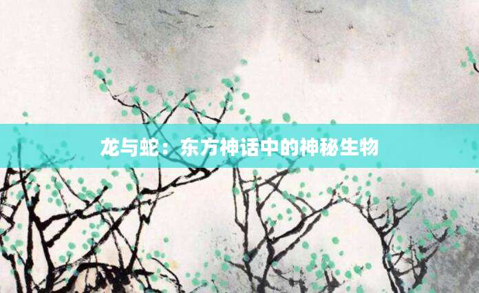 龙与蛇：东方神话中的神秘生物