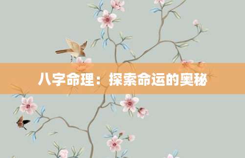 八字命理：探索命运的奥秘