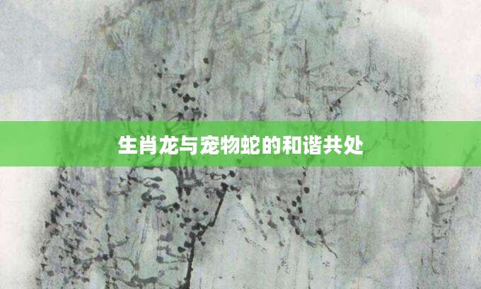 生肖龙与宠物蛇的和谐共处