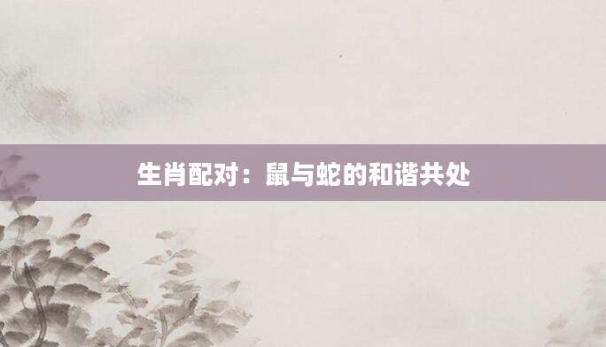 生肖配对：鼠与蛇的和谐共处