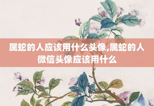 属蛇的人应该用什么头像,属蛇的人微信头像应该用什么