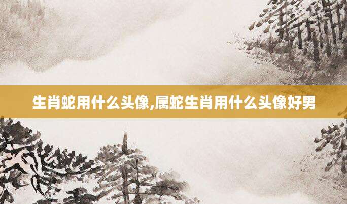 生肖蛇用什么头像,属蛇生肖用什么头像好男