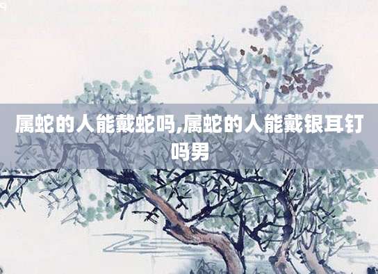 属蛇的人能戴蛇吗,属蛇的人能戴银耳钉吗男