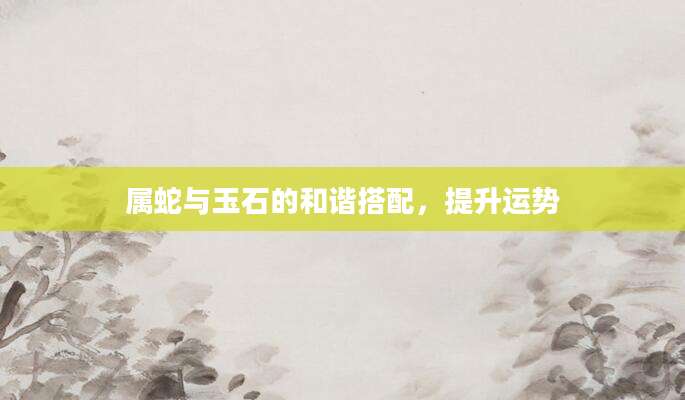 属蛇与玉石的和谐搭配，提升运势