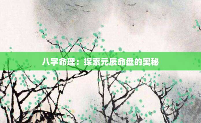 八字命理：探索元辰命盘的奥秘