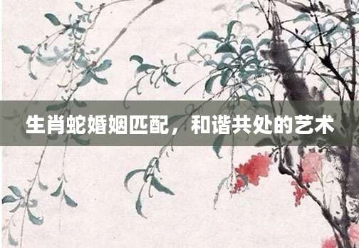 生肖蛇婚姻匹配，和谐共处的艺术