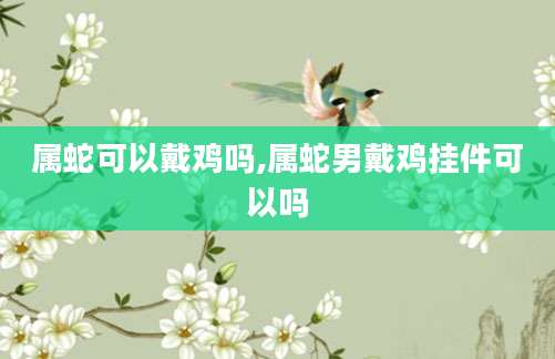 属蛇可以戴鸡吗,属蛇男戴鸡挂件可以吗