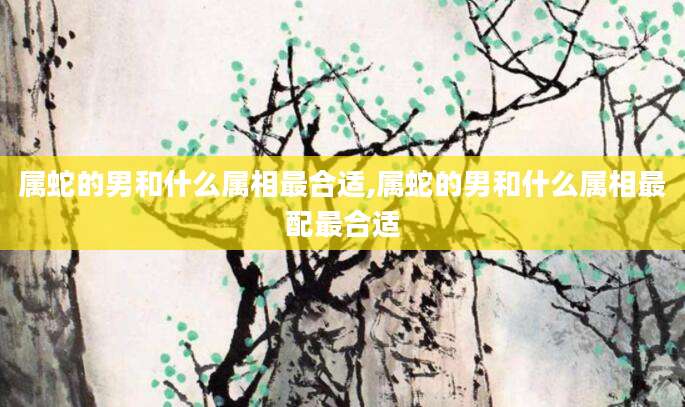 属蛇的男和什么属相最合适,属蛇的男和什么属相最配最合适