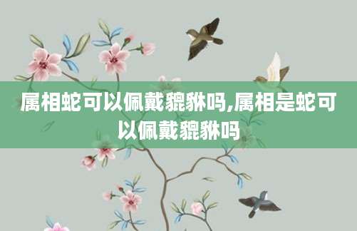 属相蛇可以佩戴貔貅吗,属相是蛇可以佩戴貔貅吗