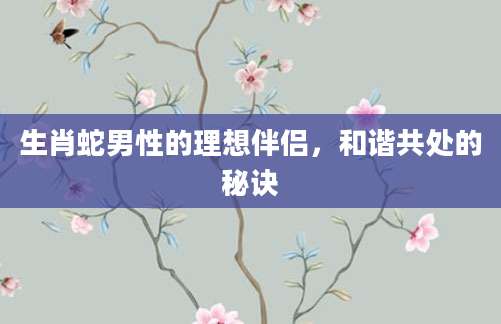 生肖蛇男性的理想伴侣，和谐共处的秘诀