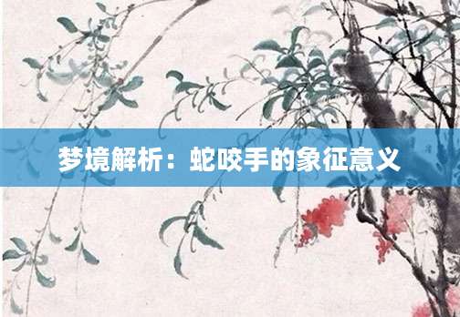梦境解析：蛇咬手的象征意义