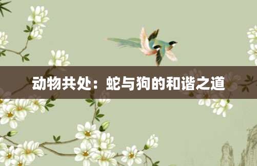 动物共处：蛇与狗的和谐之道