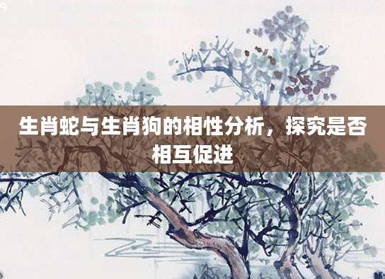 生肖蛇与生肖狗的相性分析，探究是否相互促进