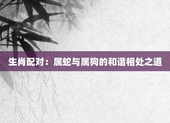 生肖配对：属蛇与属狗的和谐相处之道