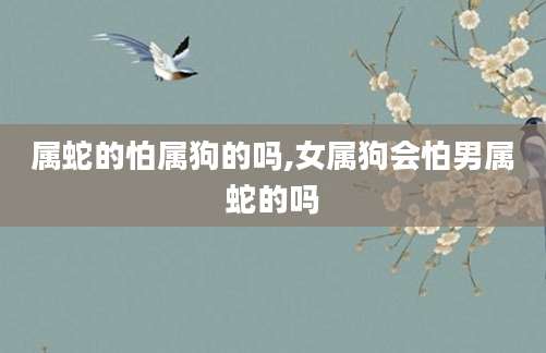 属蛇的怕属狗的吗,女属狗会怕男属蛇的吗