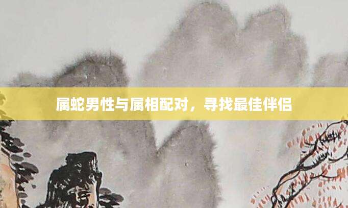 属蛇男性与属相配对，寻找最佳伴侣