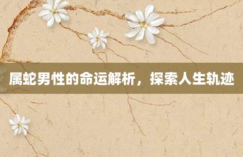 属蛇男性的命运解析，探索人生轨迹