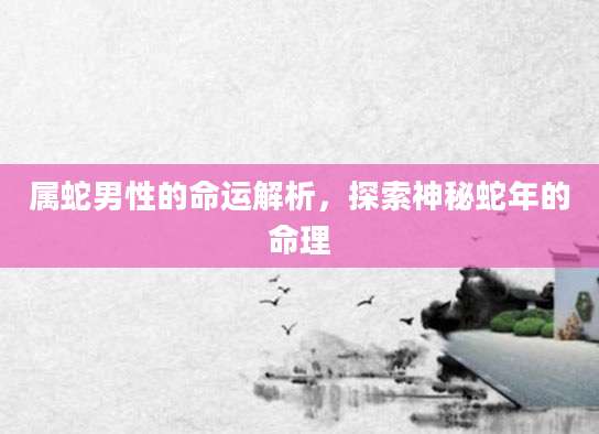 属蛇男性的命运解析，探索神秘蛇年的命理