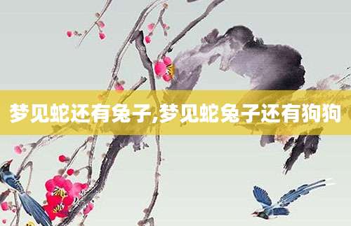 梦见蛇还有兔子,梦见蛇兔子还有狗狗