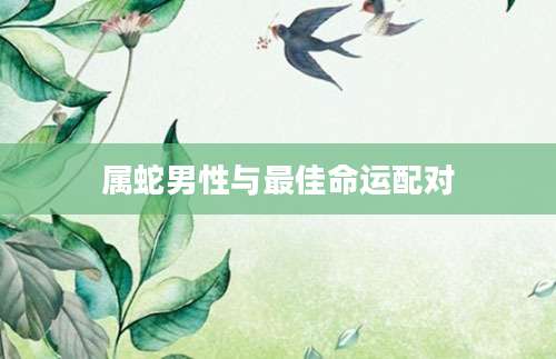 属蛇男性与最佳命运配对