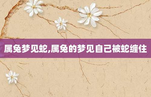 属兔梦见蛇,属兔的梦见自己被蛇缠住