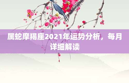 属蛇摩羯座2021年运势分析，每月详细解读