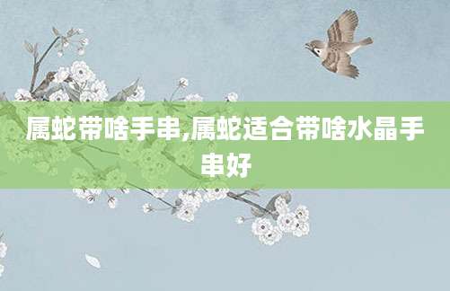 属蛇带啥手串,属蛇适合带啥水晶手串好