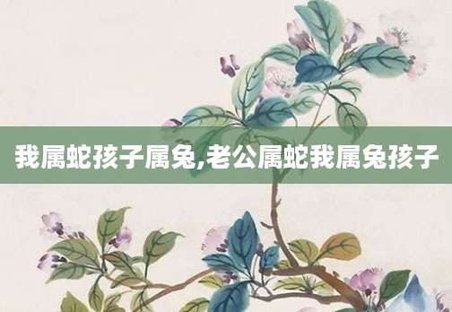 我属蛇孩子属兔,老公属蛇我属兔孩子