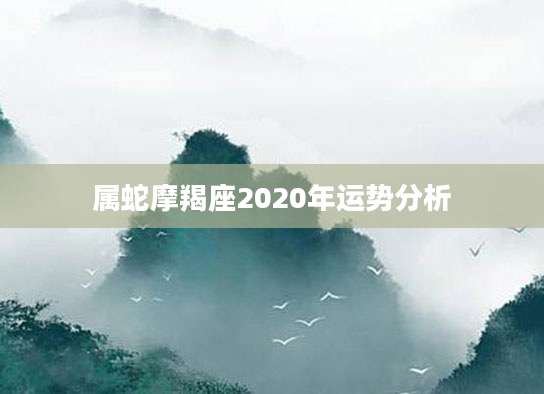 属蛇摩羯座2020年运势分析